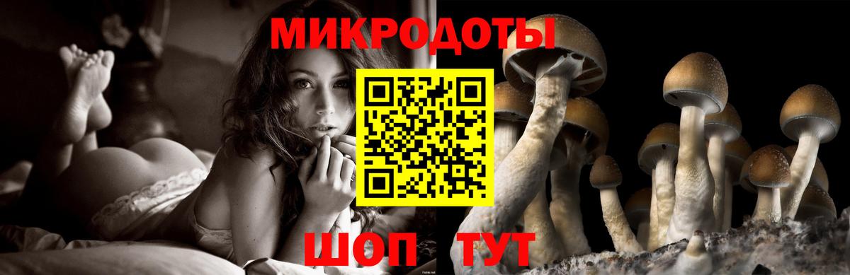 Псилоцибиновые грибы ЛСД Урюпинск